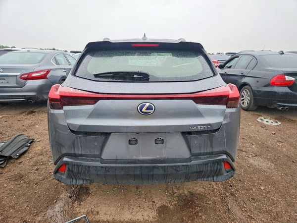 2019 LEXUS UX