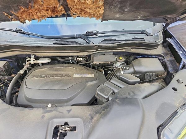 2019 HONDA PILOT EX