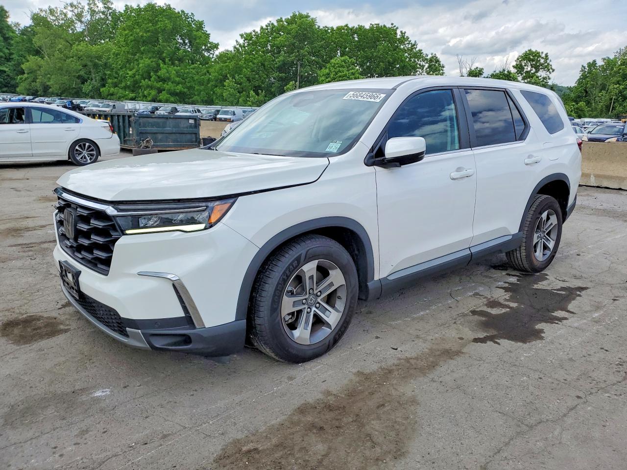2024 HONDA PILOT EX-L