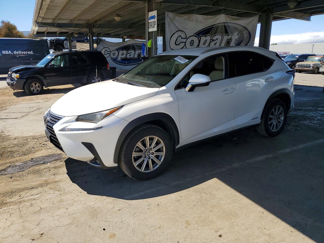 2019 LEXUS NX 300H Luxury