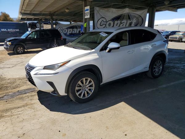 2019 LEXUS NX 300H Luxury