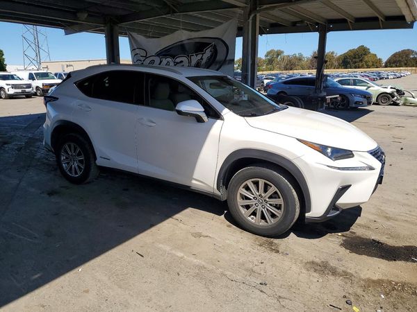 2019 LEXUS NX 300H Luxury