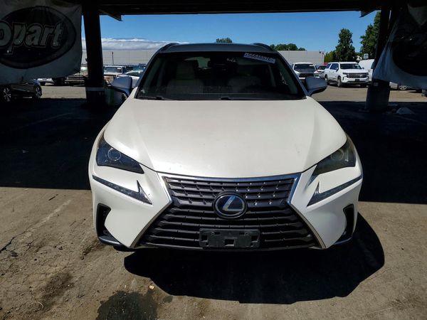 2019 LEXUS NX 300H Luxury