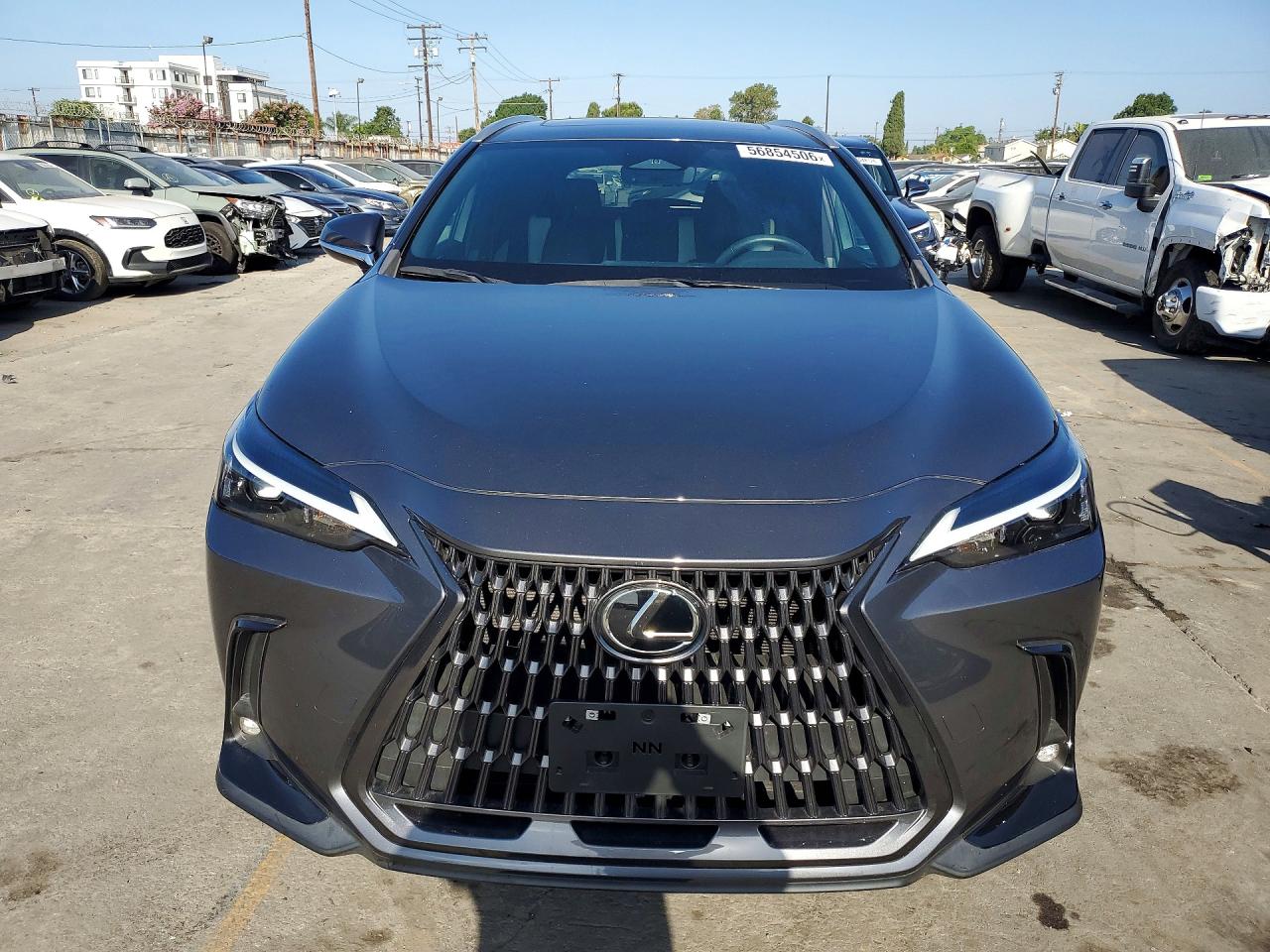 2024 LEXUS NX 250 350 Base