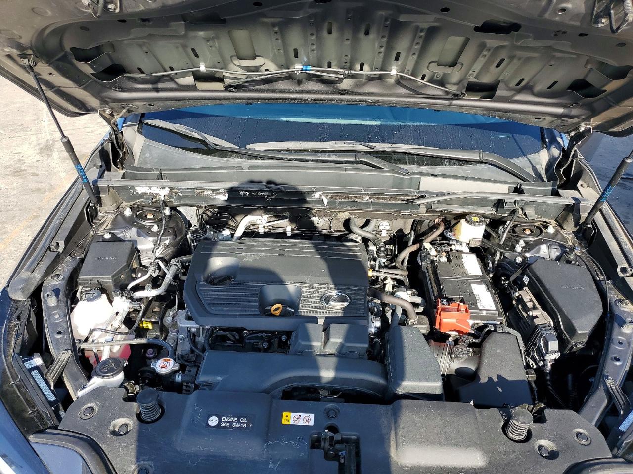 2024 LEXUS NX 250 350 Base