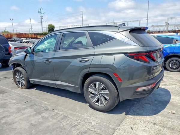 2024 HYUNDAI TUCSON Blue