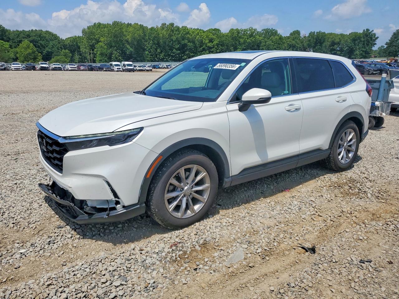 2023 HONDA CR-V EX-L