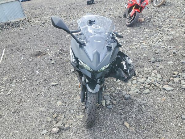 2025 KAWASAKI EX500