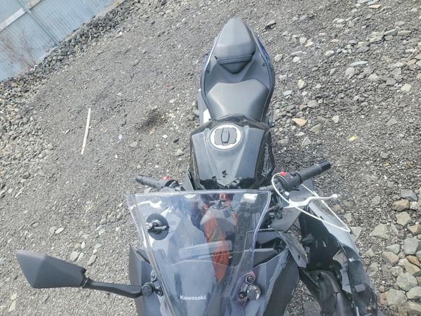 2025 KAWASAKI EX500