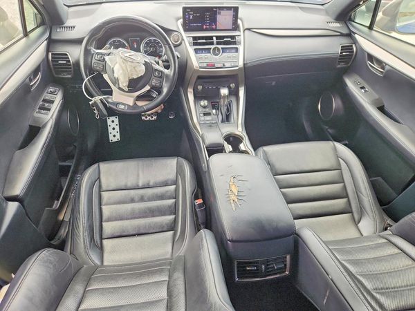 2020 LEXUS NX 300 F Sport Comfort