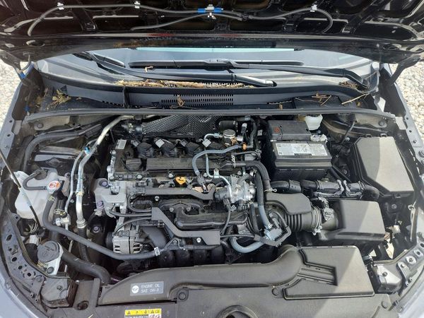 2026 TOYOTA COROLLA