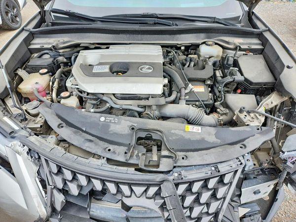 2019 LEXUS UX
