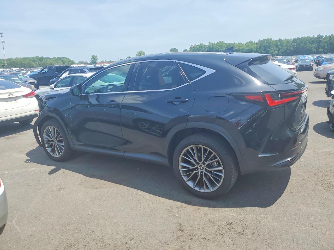 2022 LEXUS NX 350 Luxury