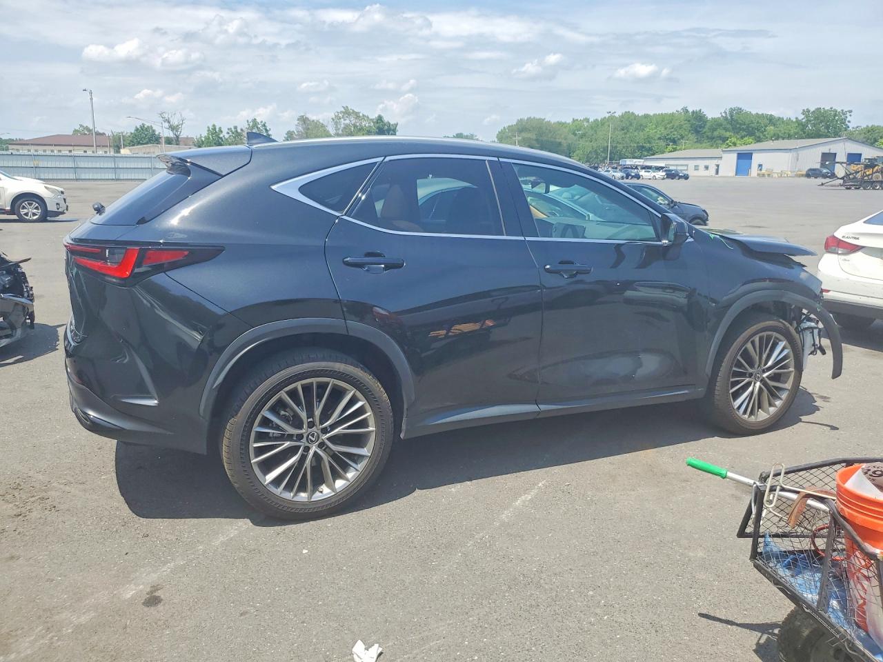 2022 LEXUS NX 350 Luxury