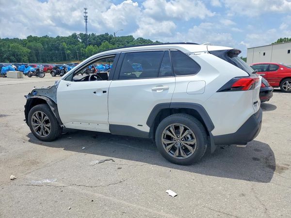 2025 TOYOTA RAV4 XLE Premium