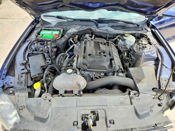 2019 FORD MUSTANG I4 Coupe