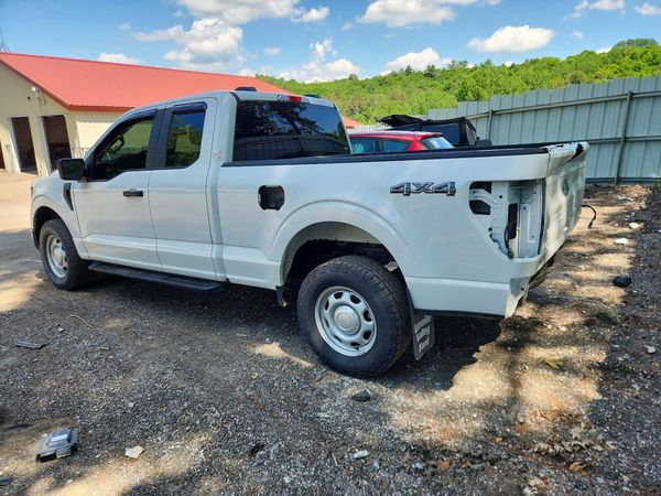 2024 FORD F150