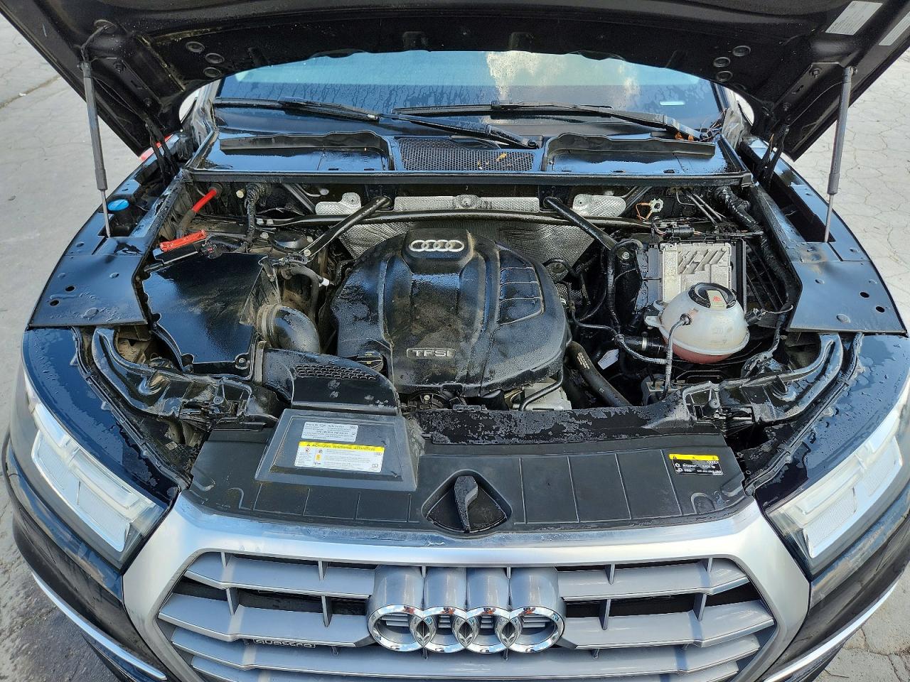 2019 AUDI Q5 quattro Premium Plus