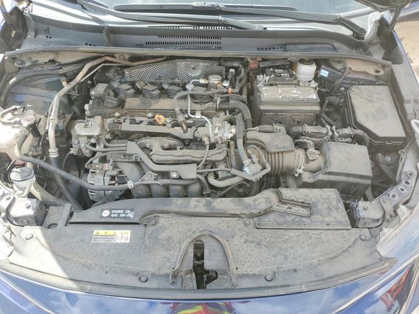 2024 TOYOTA COROLLA