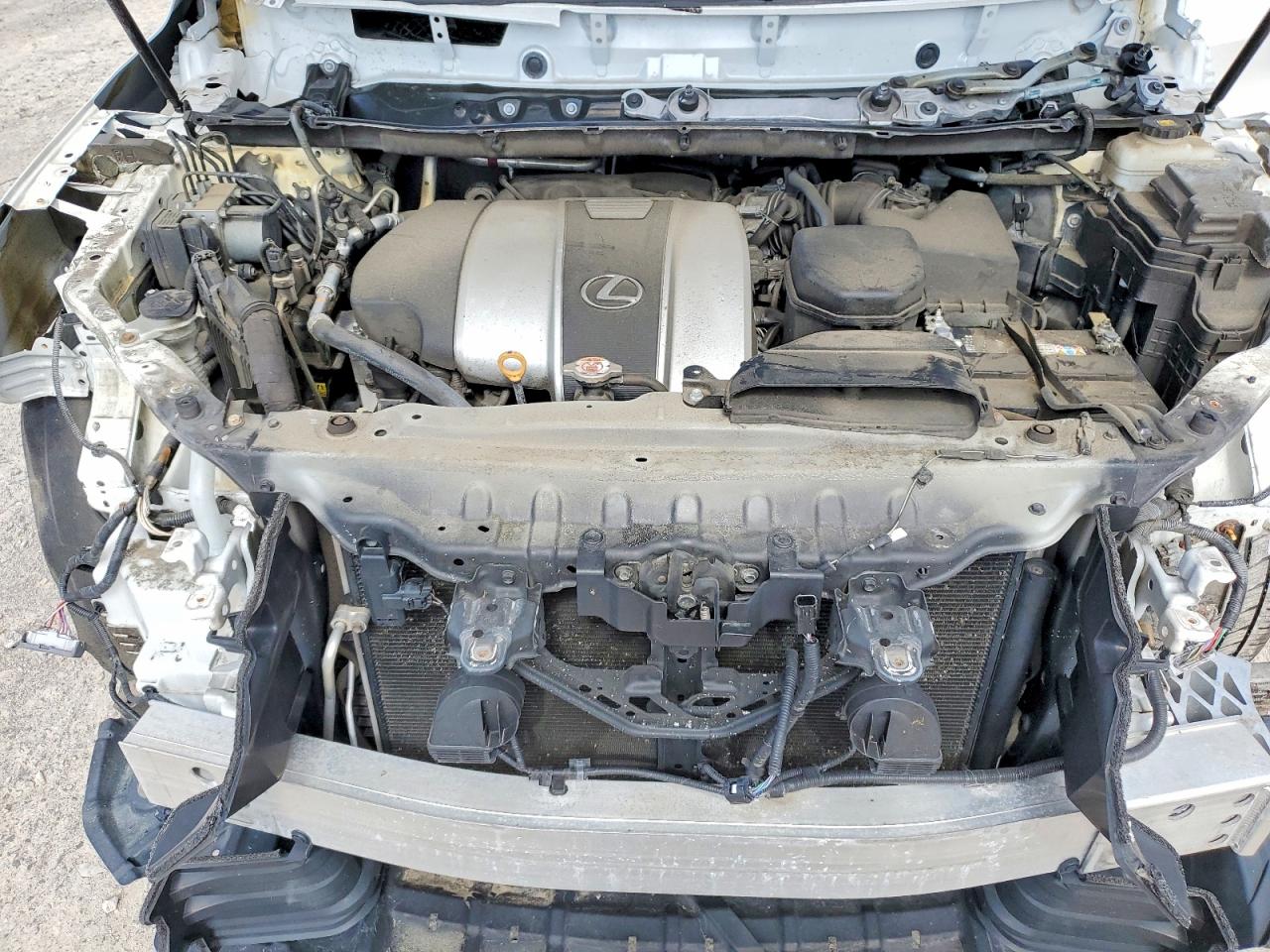 2019 LEXUS RX 350 350 Standard