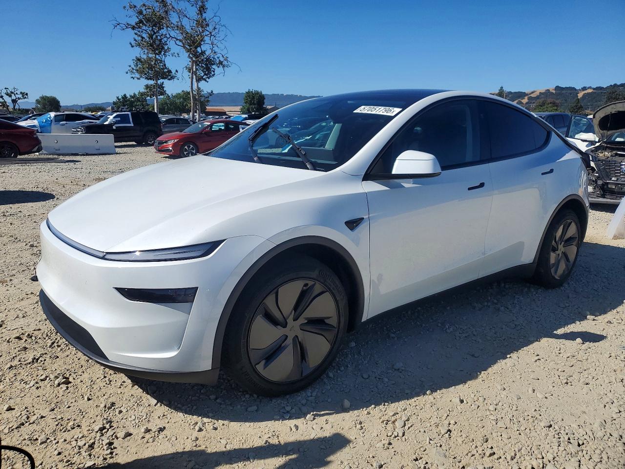 2026 TESLA MODEL Y