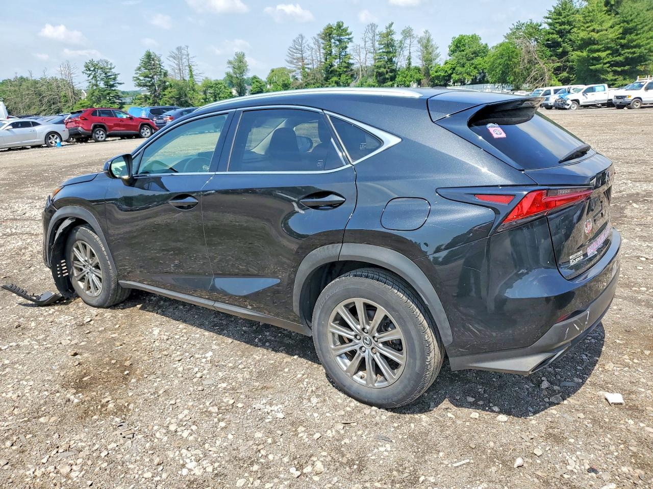 2019 LEXUS NX 300 300 Luxury