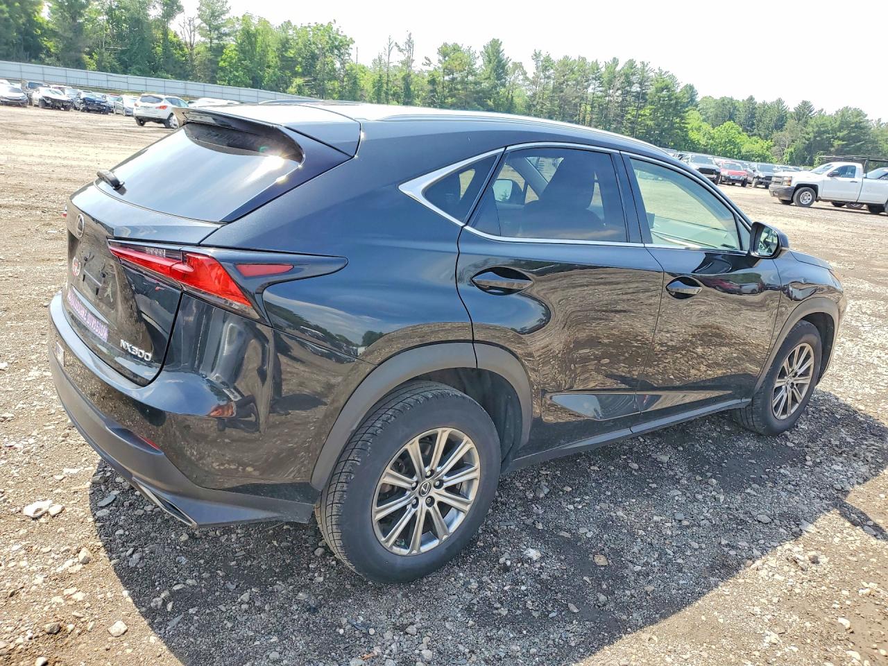 2019 LEXUS NX 300 300 Luxury