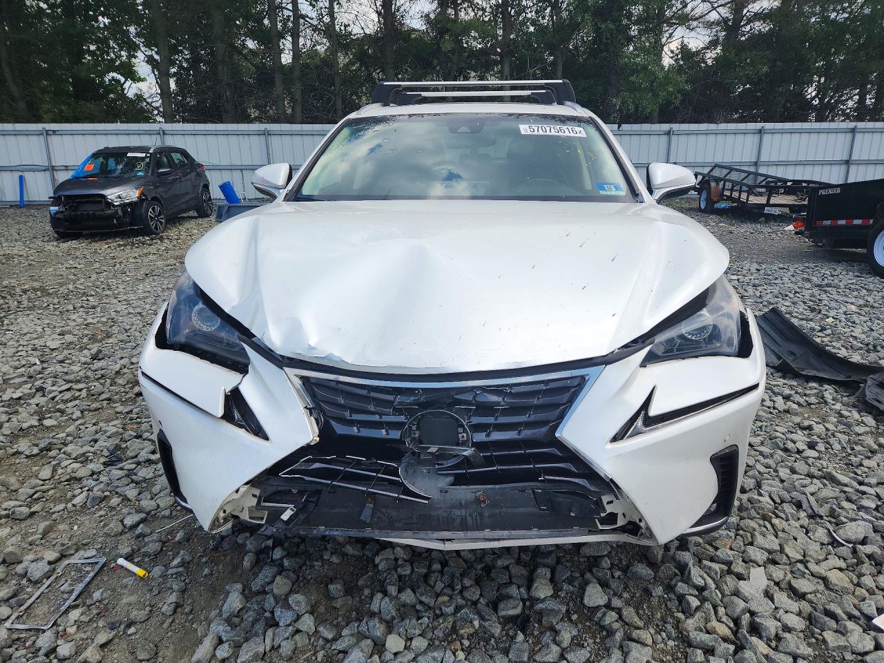 2019 LEXUS NX 300 300 Luxury