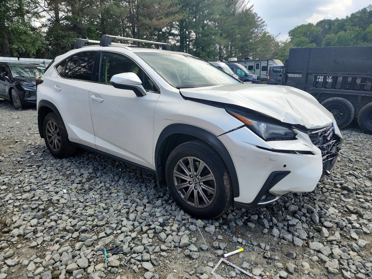 2019 LEXUS NX 300 300 Luxury