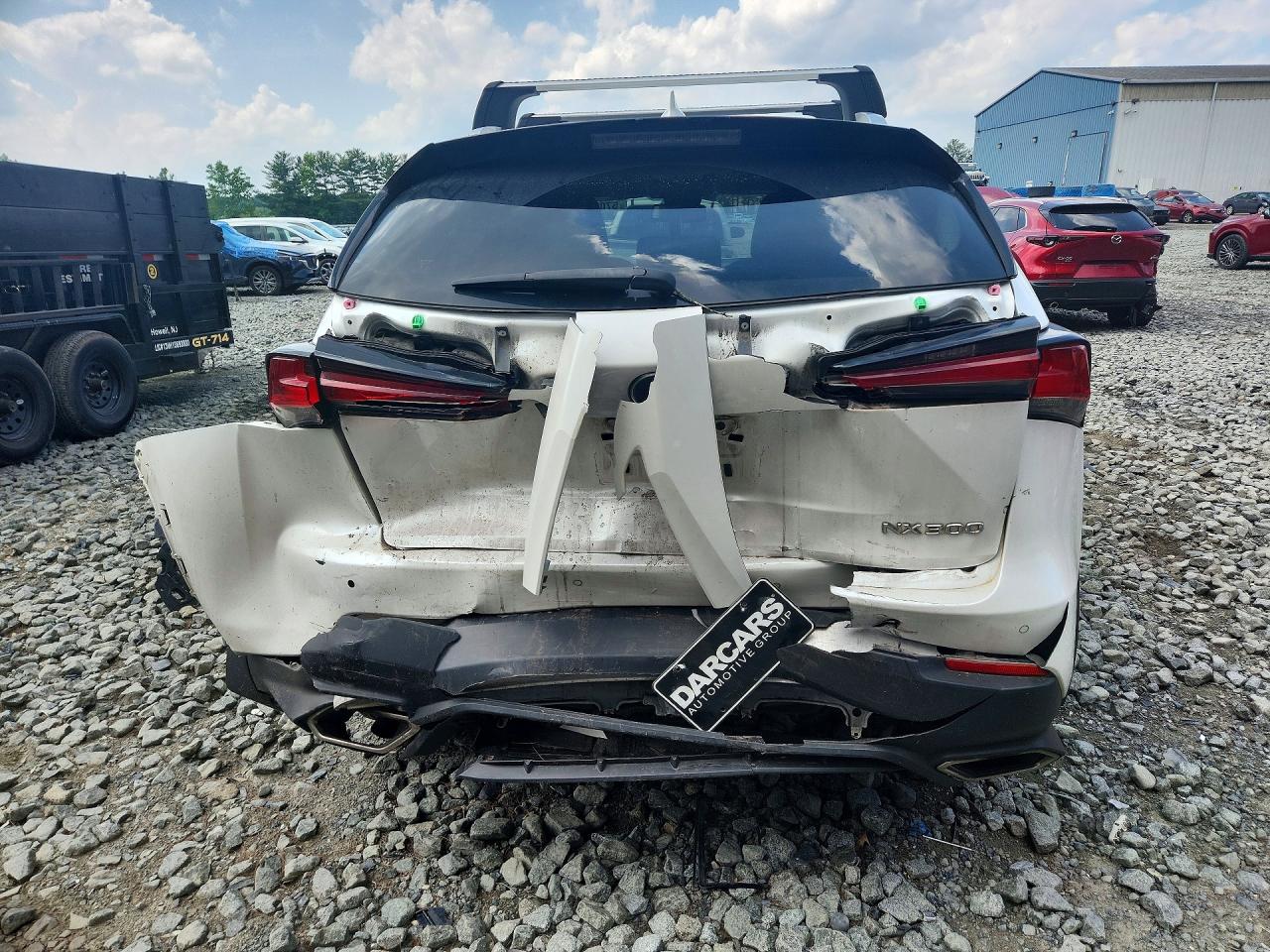 2019 LEXUS NX 300 300 Luxury