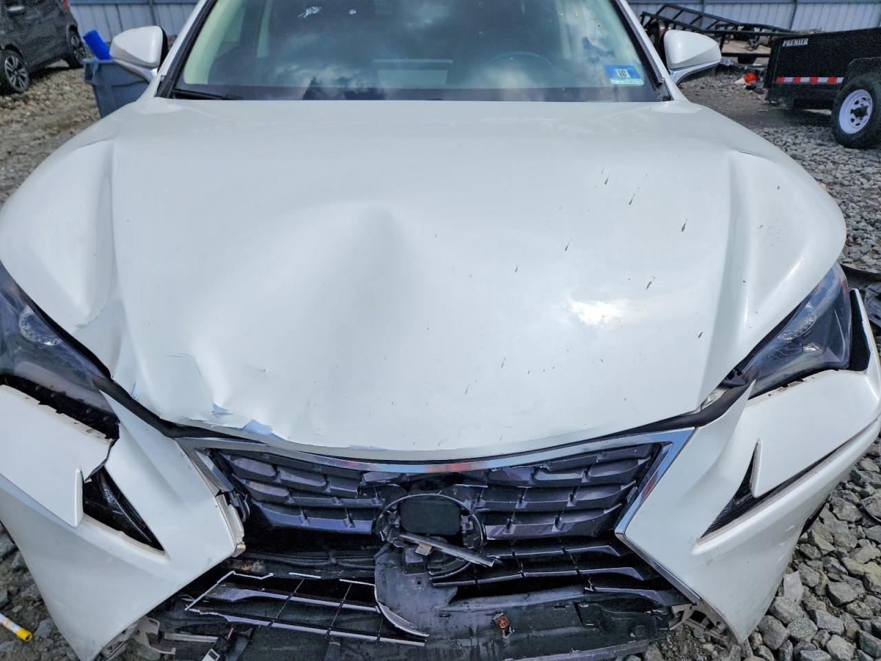 2019 LEXUS NX 300 300 Luxury