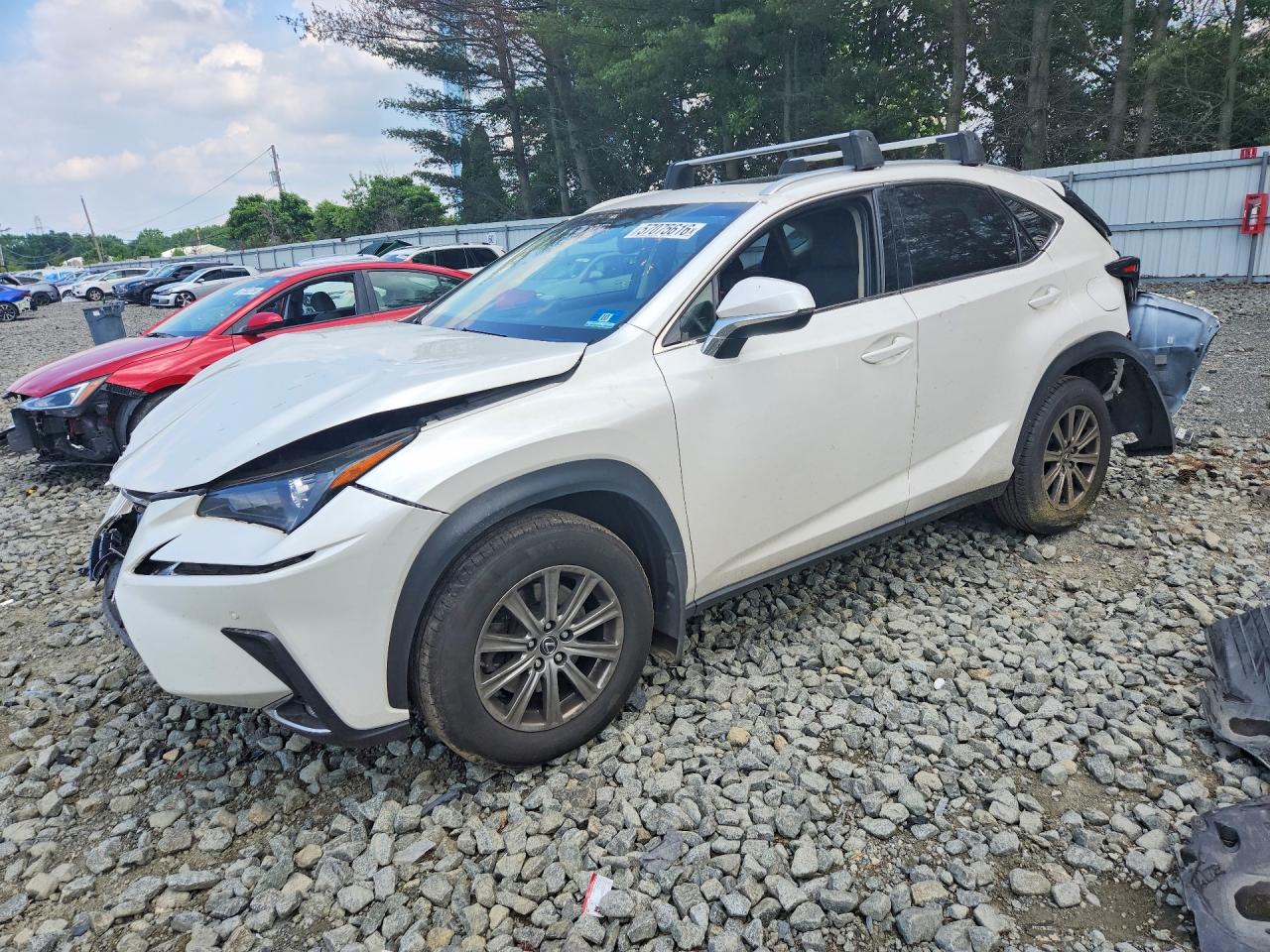 2019 LEXUS NX 300 300 Luxury