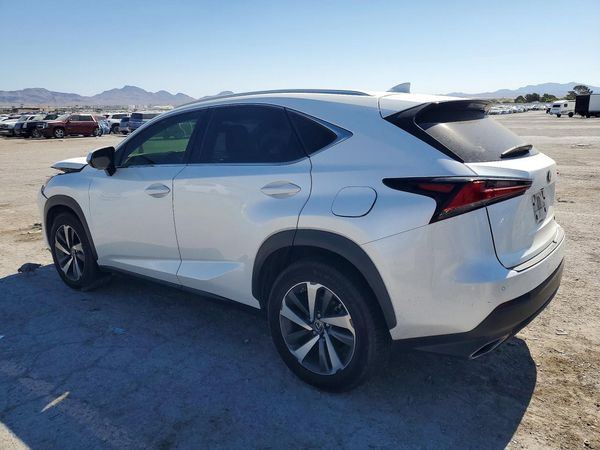 2019 LEXUS NX 300 300 Luxury
