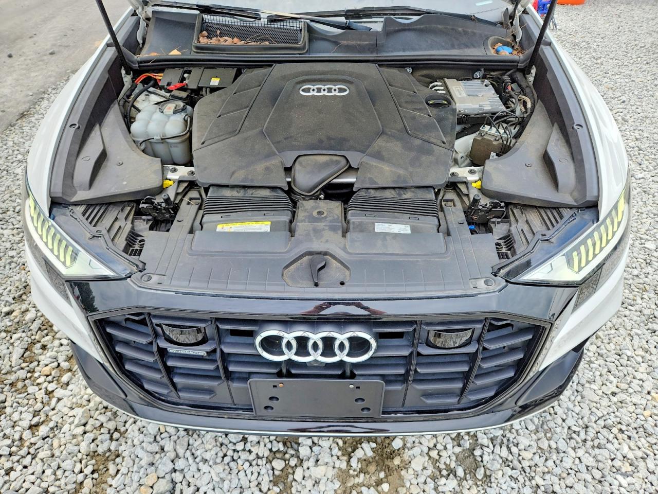 2019 AUDI Q8 S Line quattro Prestige