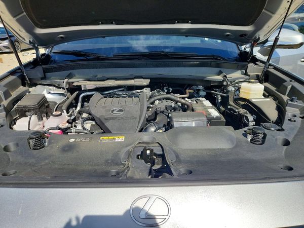 2025 LEXUS TX 350
