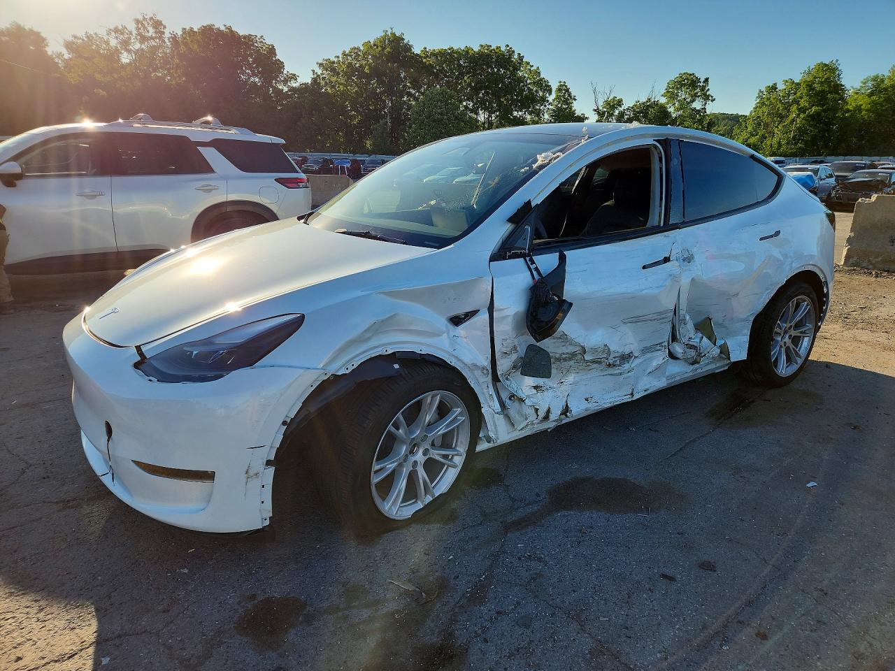 2023 TESLA MODEL Y