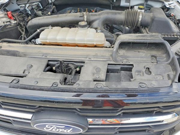 2025 FORD F150 XLT