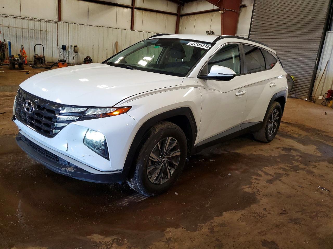 2023 HYUNDAI TUCSON Blue