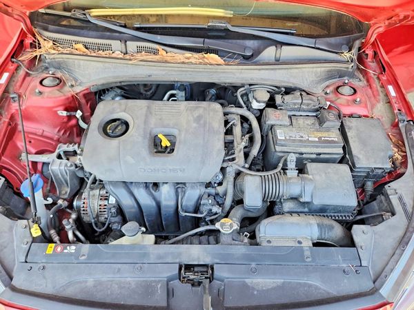 2019 KIA FORTE FE/LX/LXS