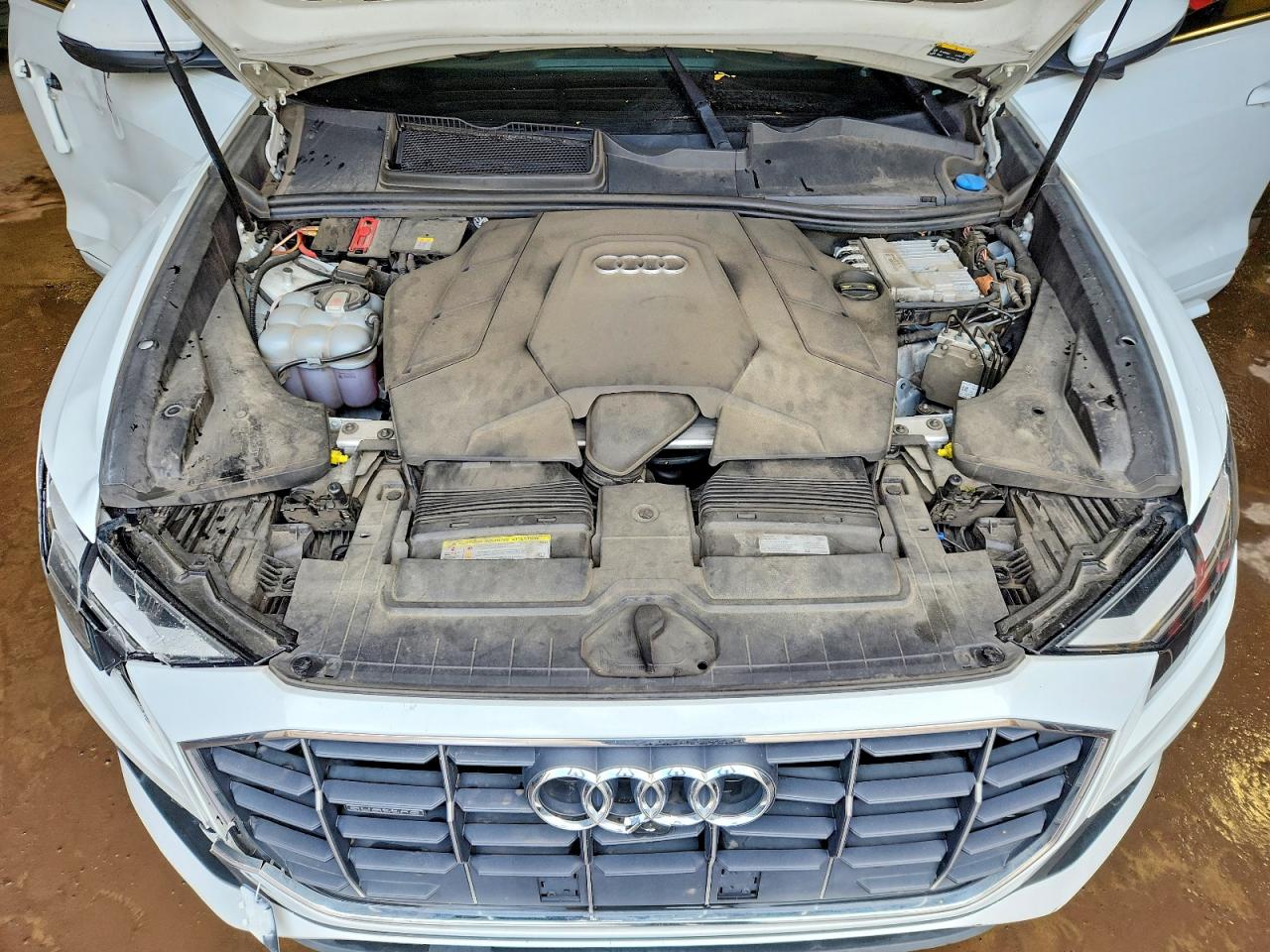 2019 AUDI Q8
