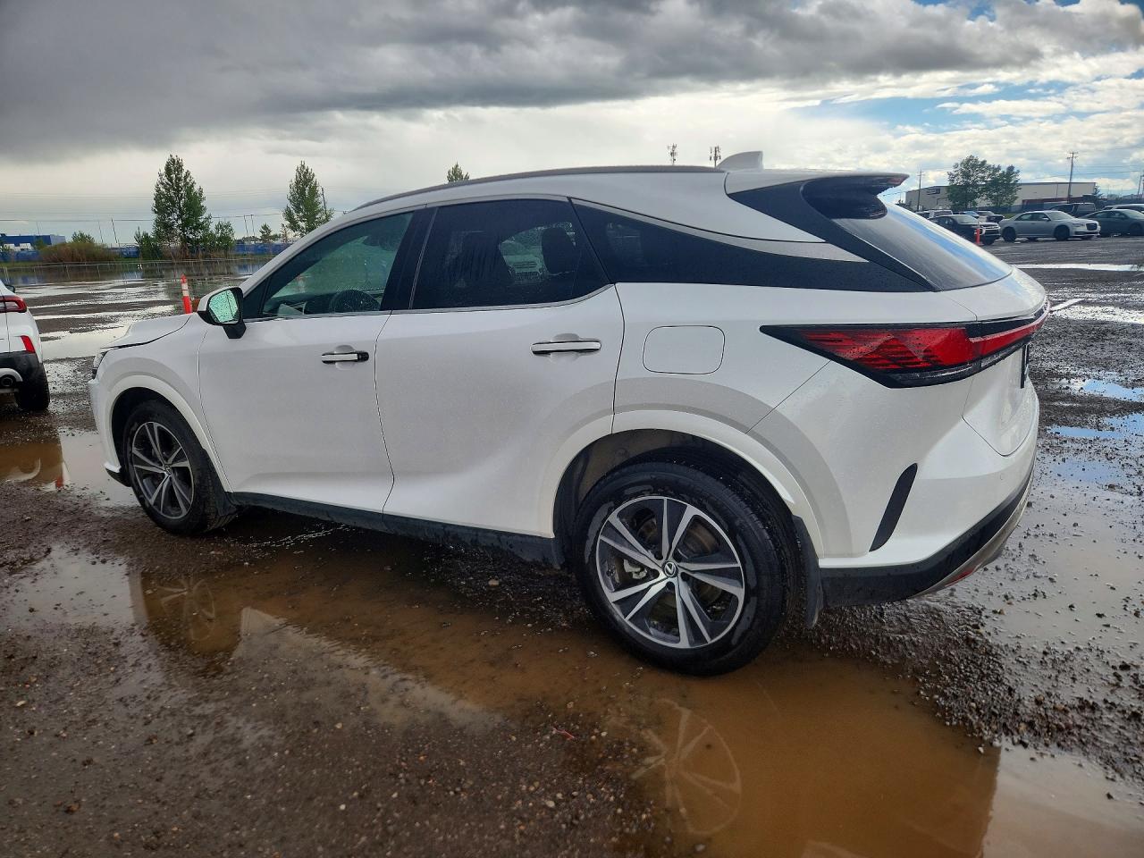 2025 LEXUS RX 350 BASE/350 PREM