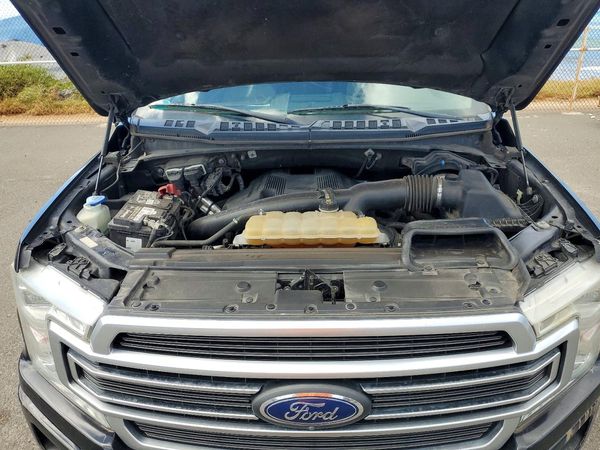 2019 FORD F150
