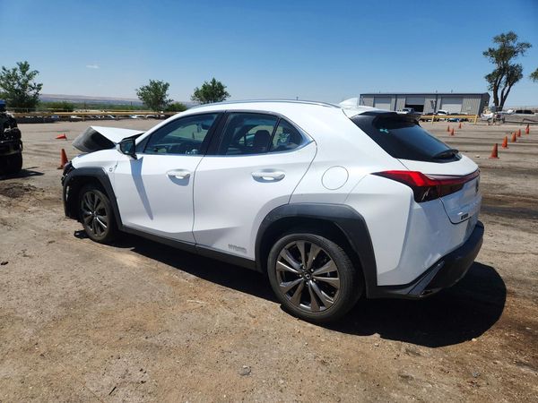 2019 LEXUS UX