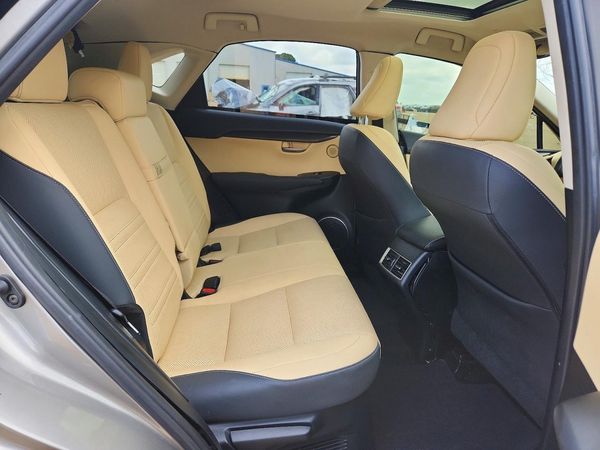 2020 LEXUS NX 300 AWD 300 Premium
