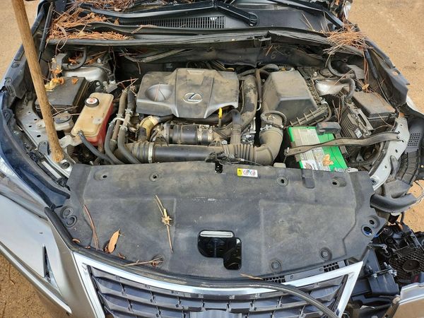 2020 LEXUS NX 300 AWD 300 Premium