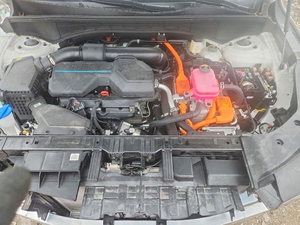 2025 KIA SORENTO EX (FWD),  EX (AWD)