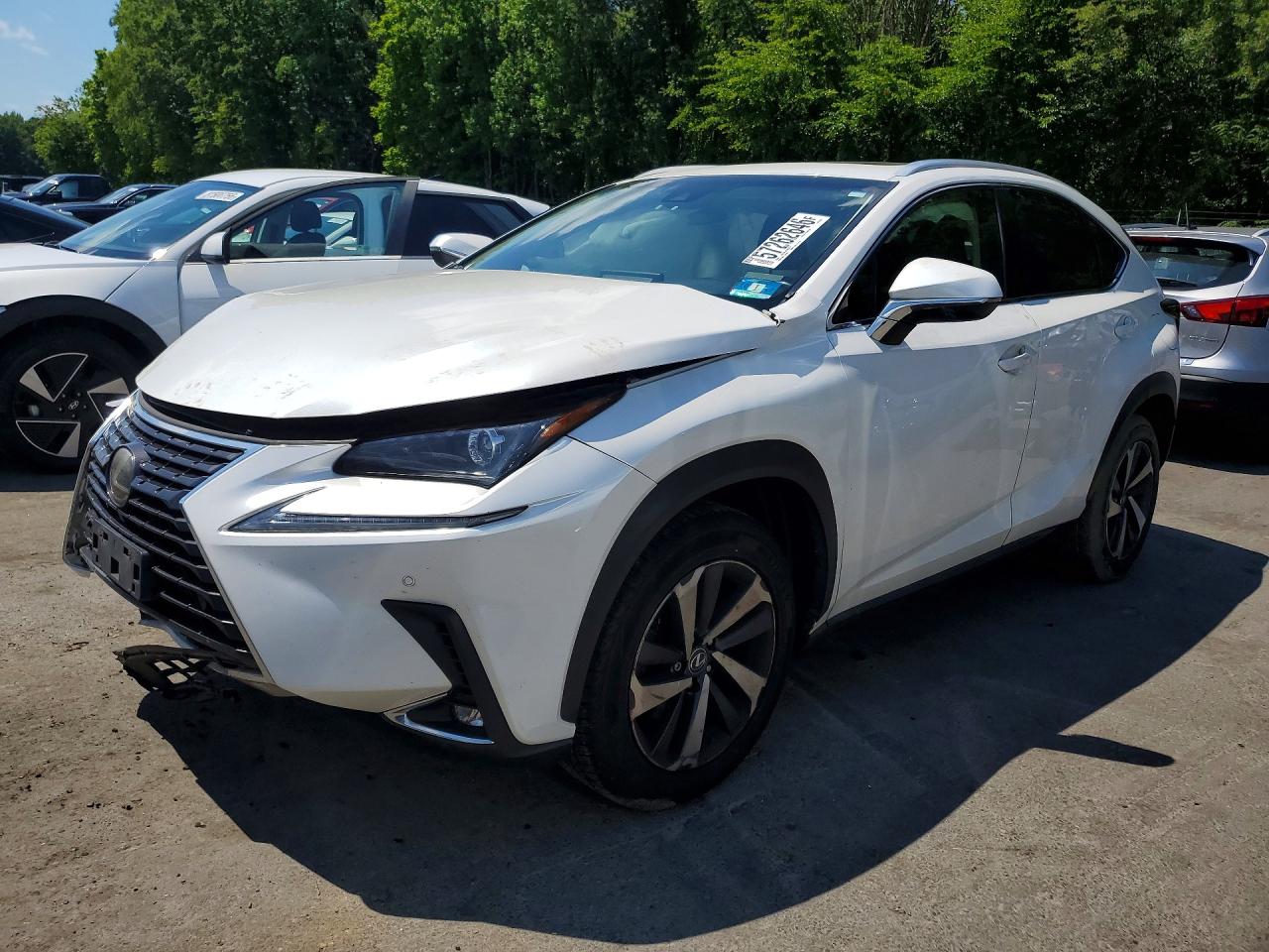 2018 LEXUS NX 300 300 Luxury