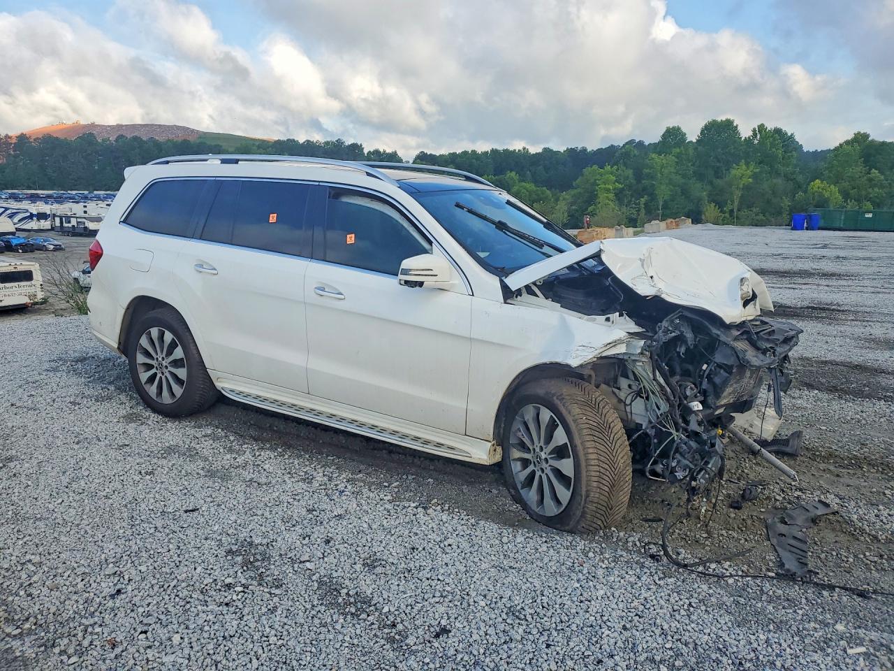 2019 MERCEDES-BENZ GLS GLS450-4M