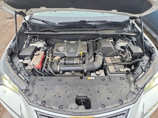 2021 LEXUS NX 300 300 Comfort