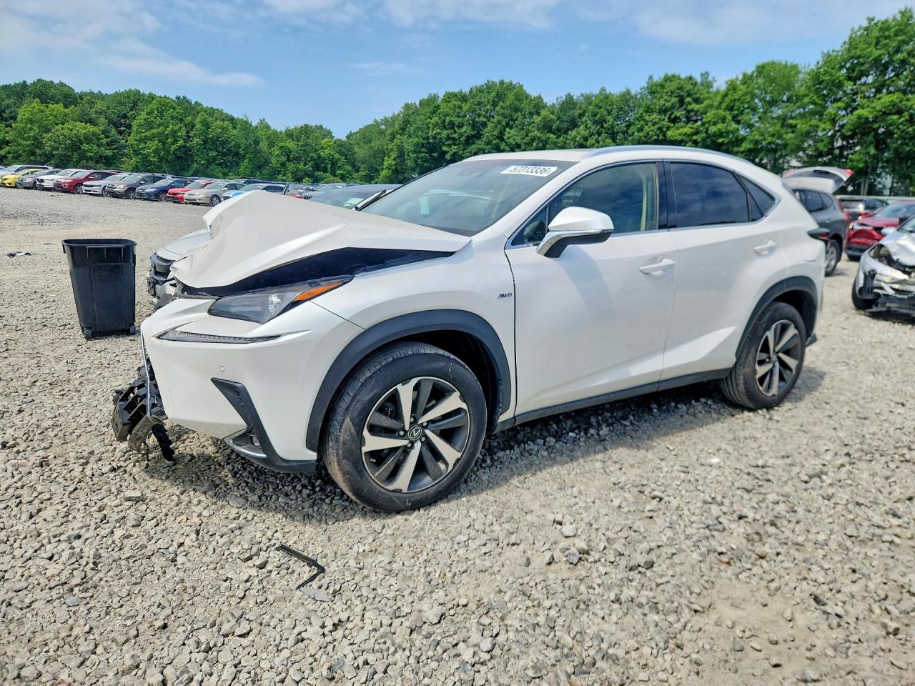 2018 LEXUS NX 300 300 Luxury